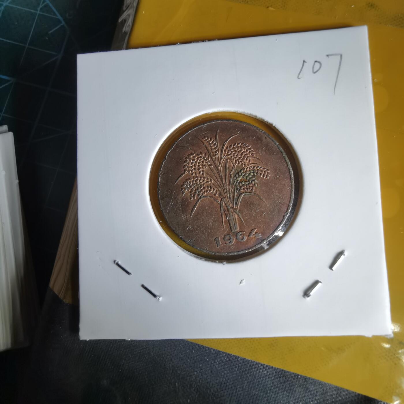 沼泽如烟--第1060场