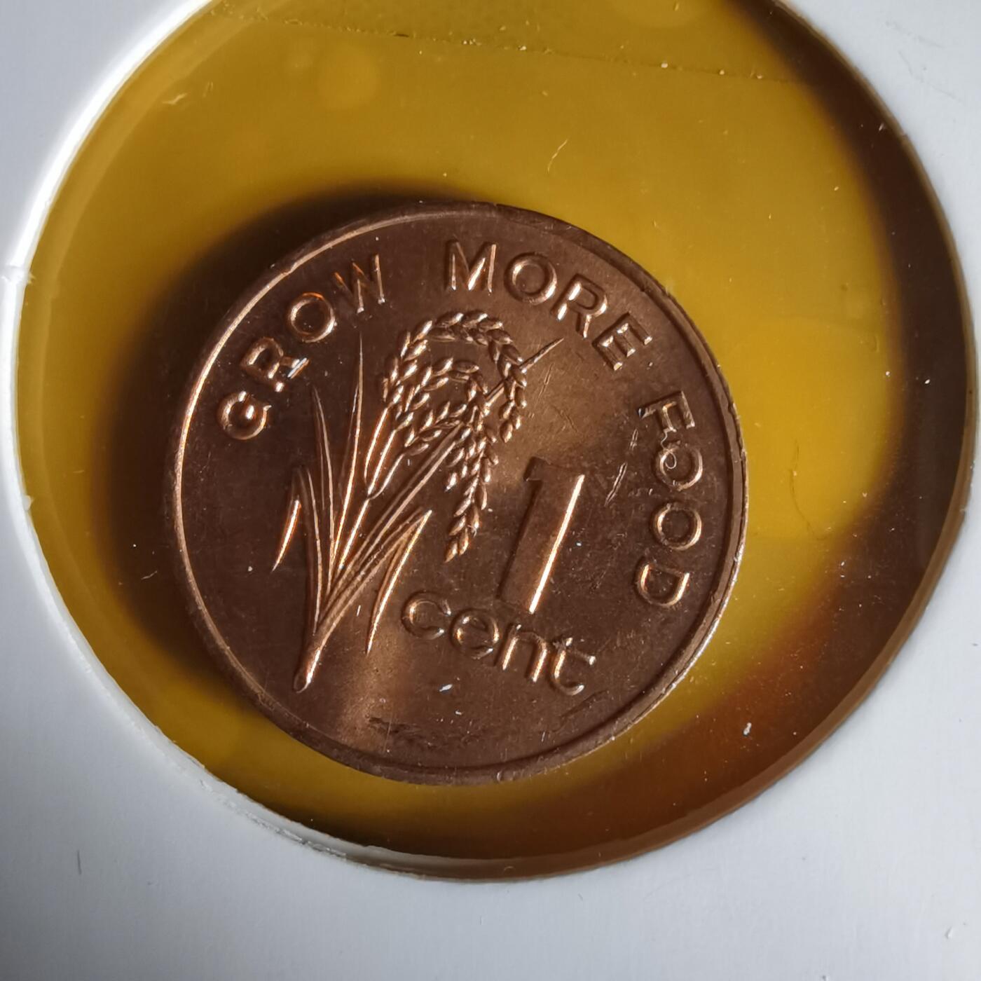 沼泽如烟--第1061场 斐济1981年一分