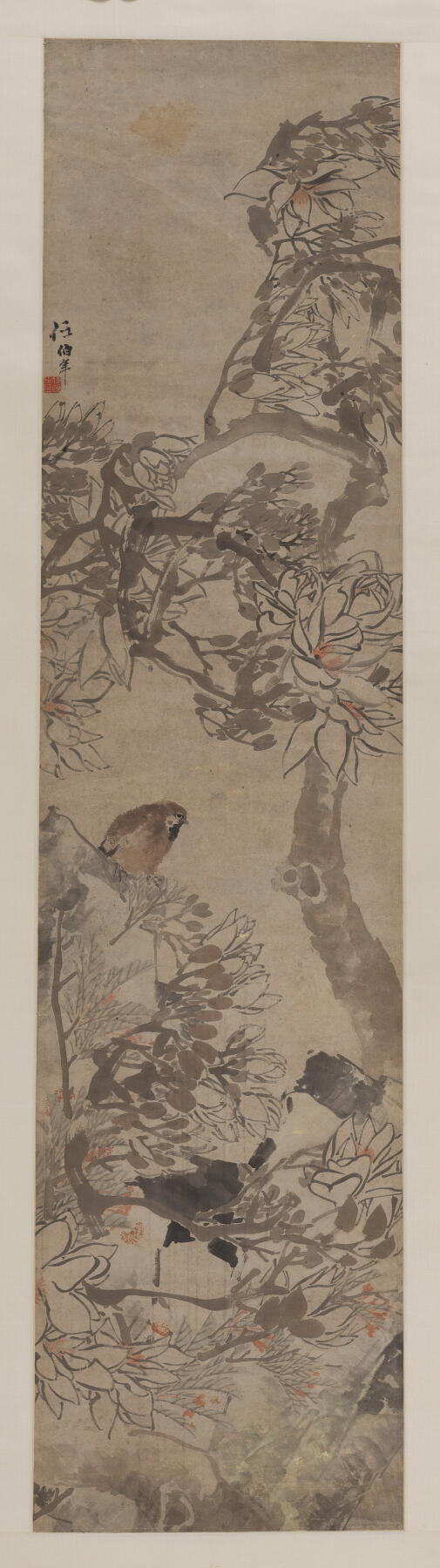 碧月说宝. 近现代书画专场（十） 任伯年（款） 玉兰栖雀