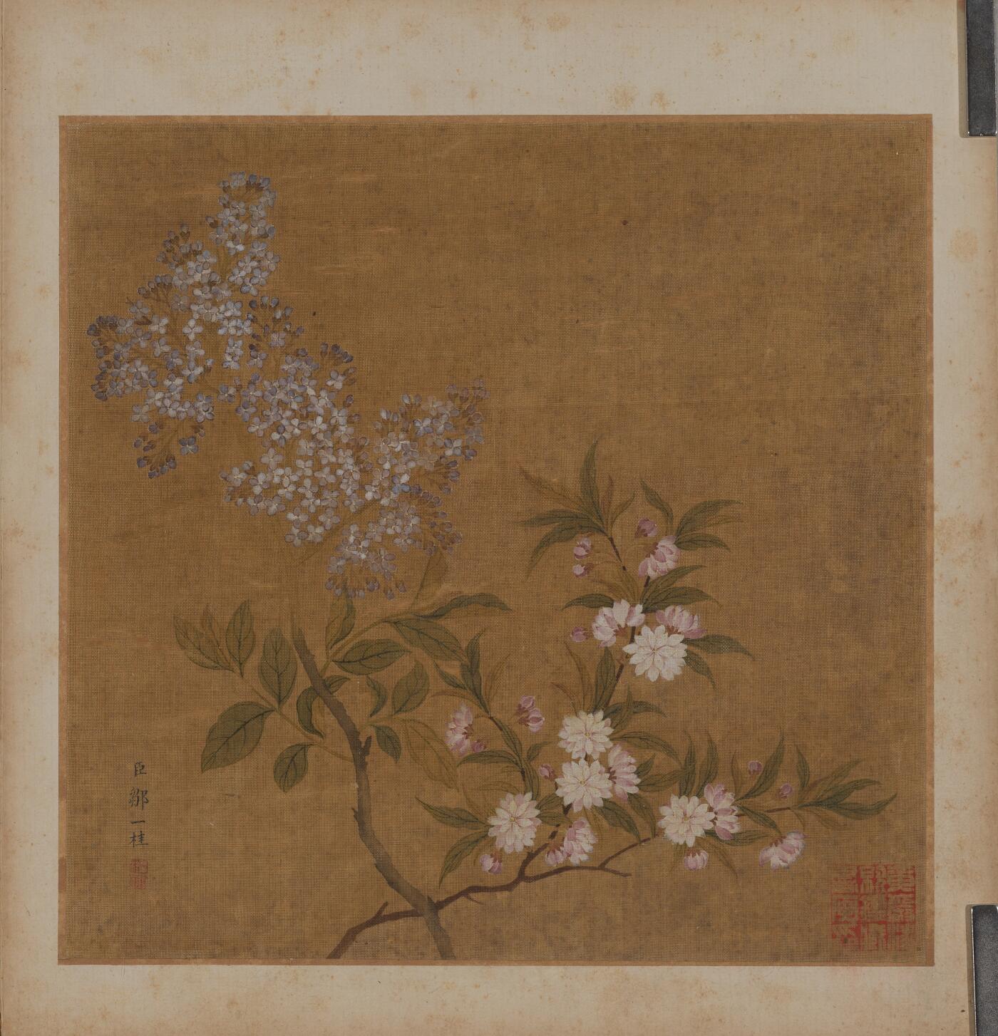 碧月说宝. 近现代书画专场（十） 邹一桂（款） 春花图