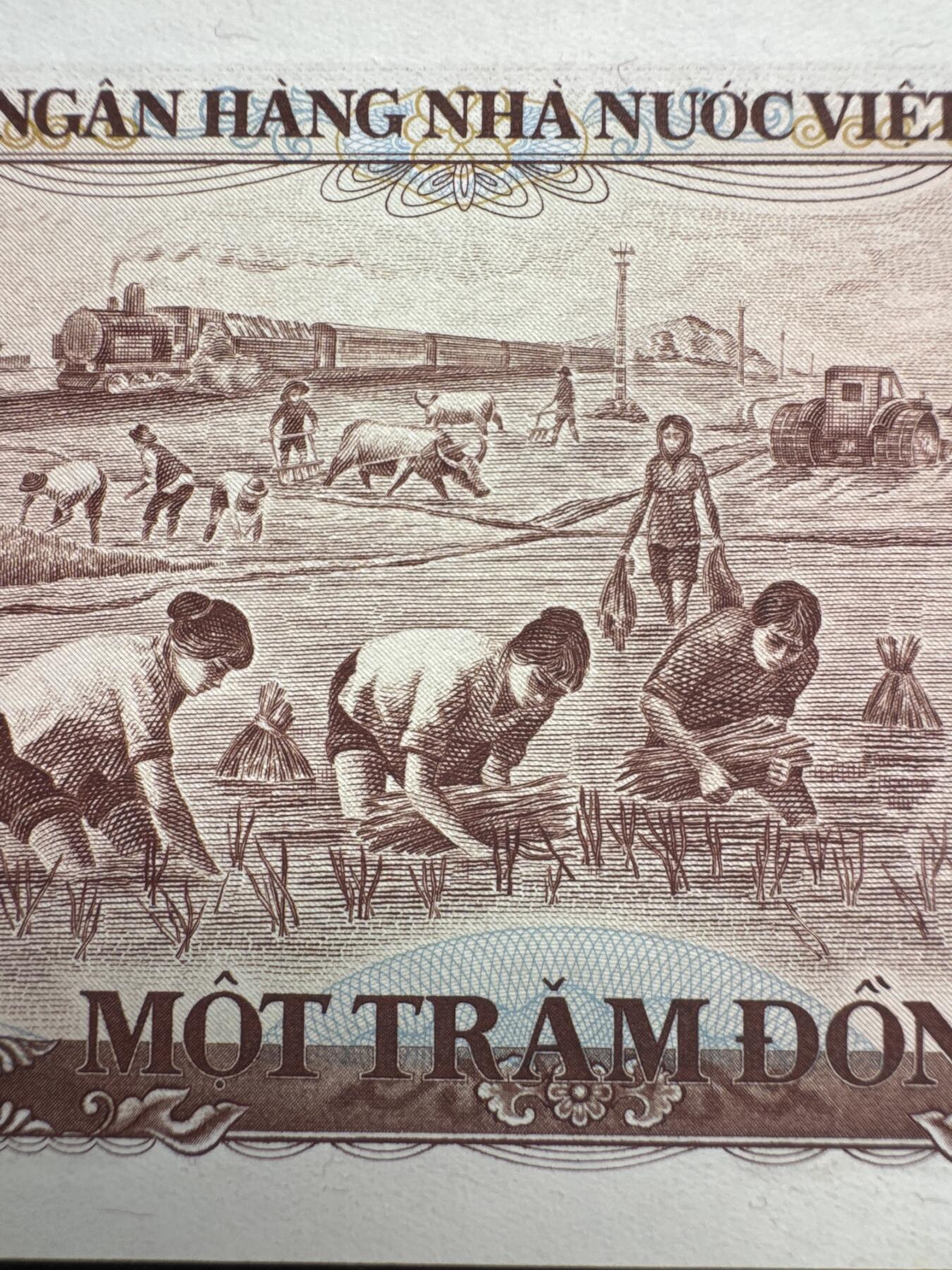 桂P钱币文化工作室拍卖第五十期