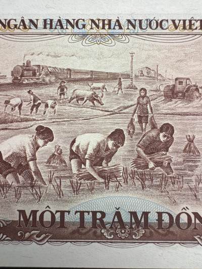 桂P钱币文化工作室拍卖第五十期 越南1985年版100盾，全新UNC，少见品种