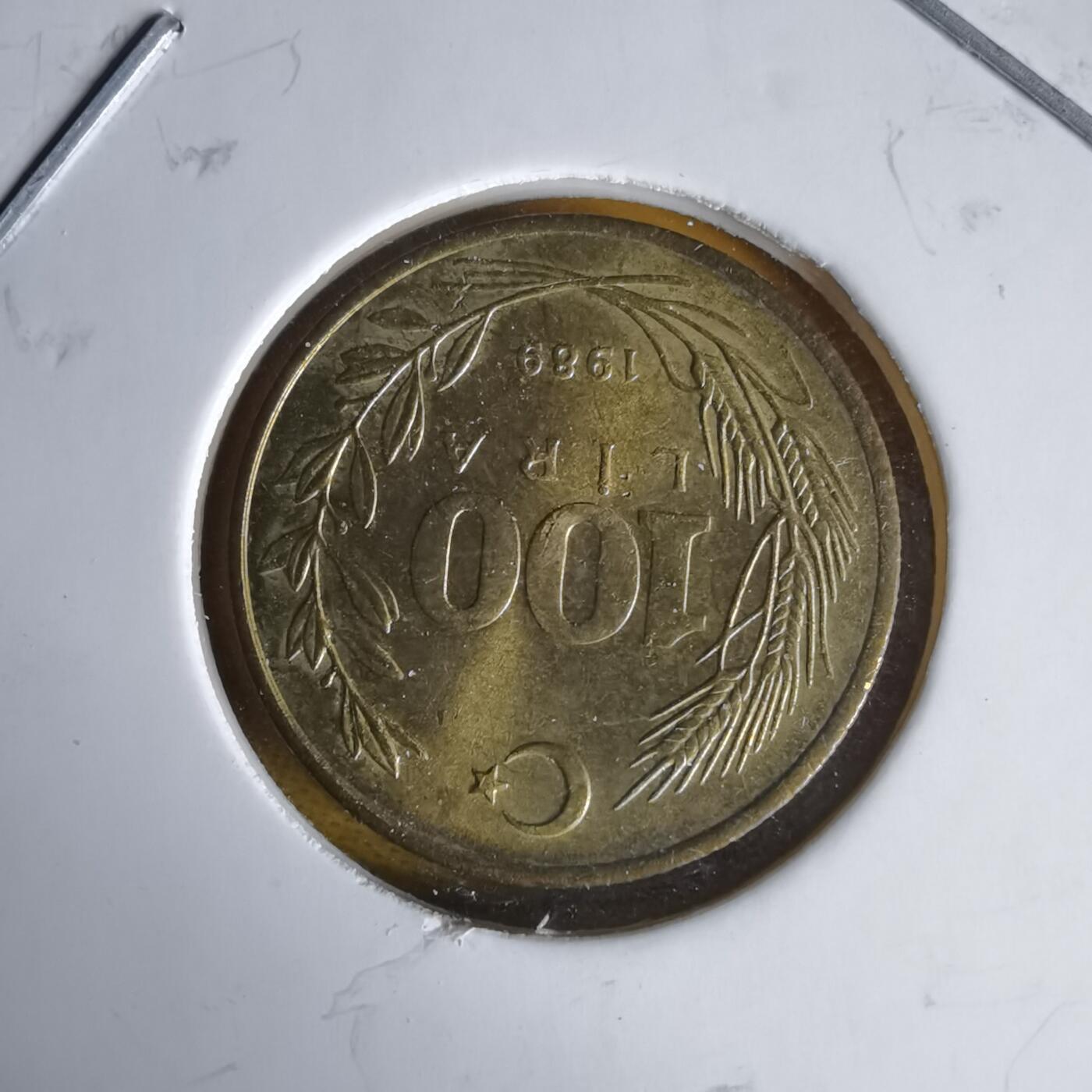 沼泽如烟--第1060场