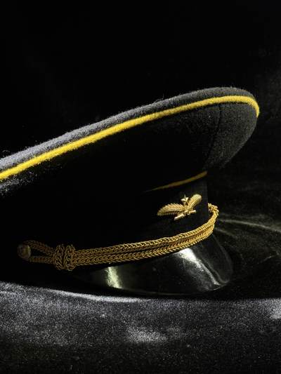 戎马世界章牌大赏第115期 苏联外交官帽子，止水复刻