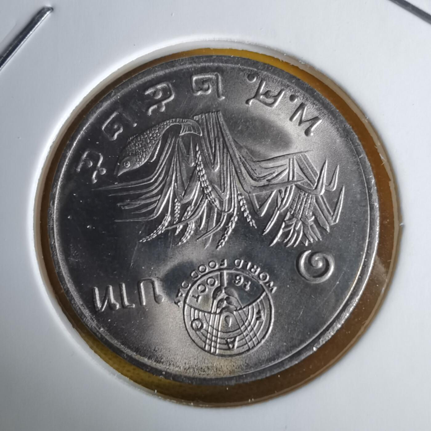 沼泽如烟--第1060场