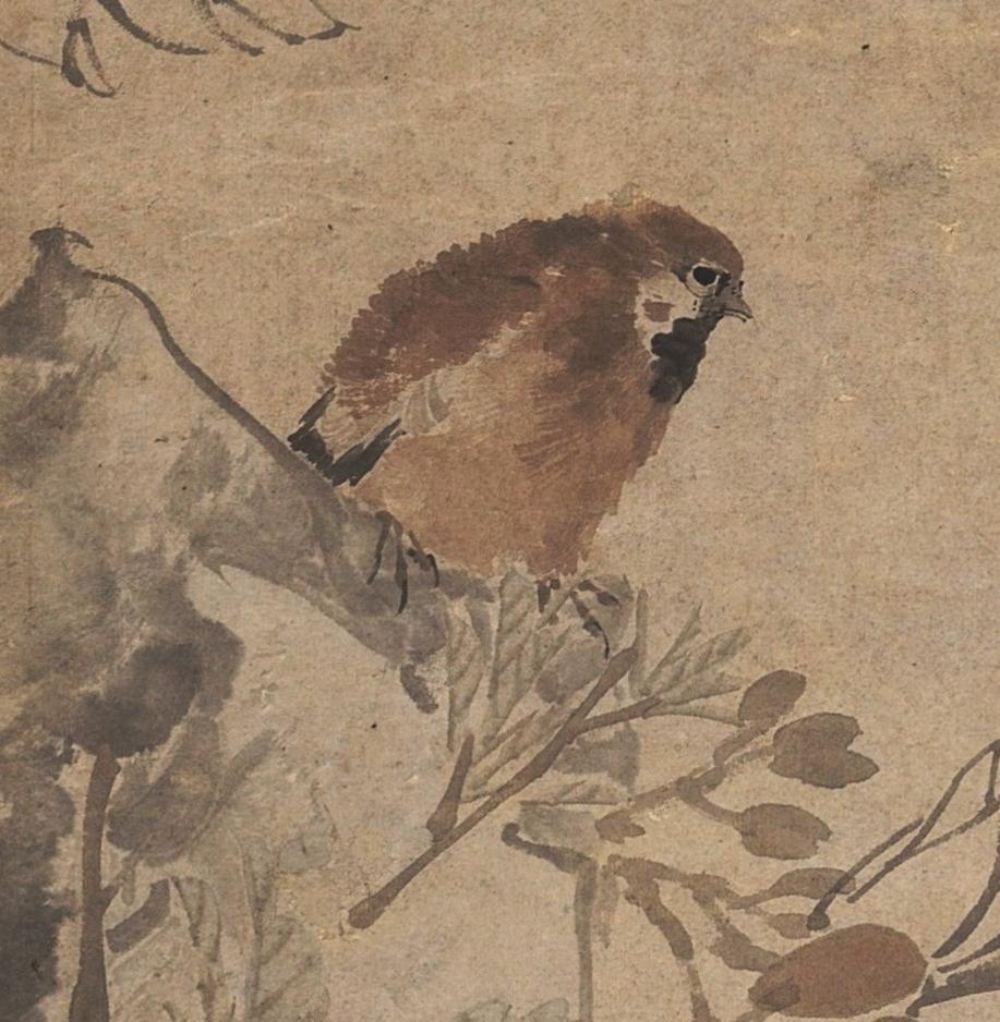 碧月说宝. 近现代书画专场（十） 任伯年（款） 玉兰栖雀