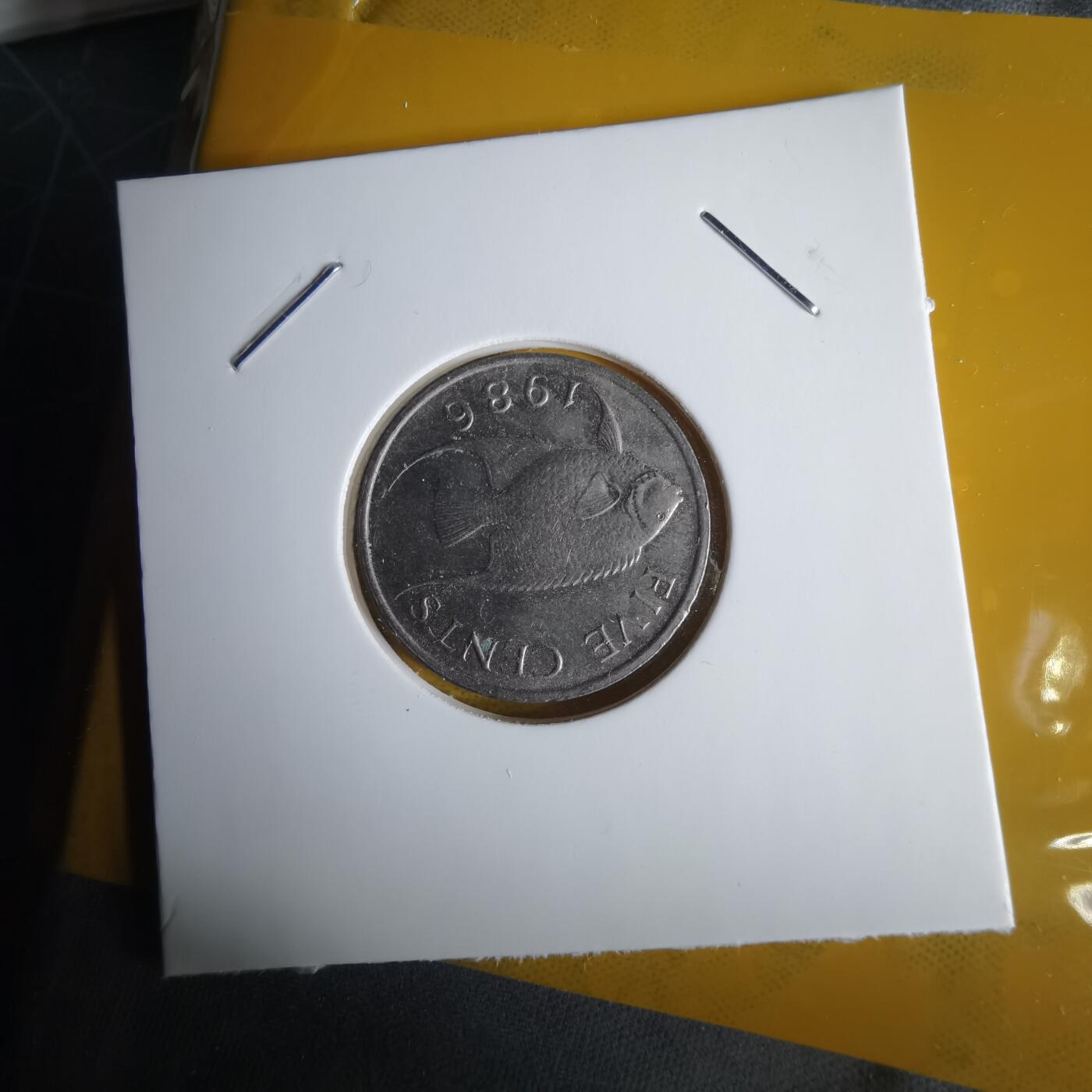 沼泽如烟--第1060场