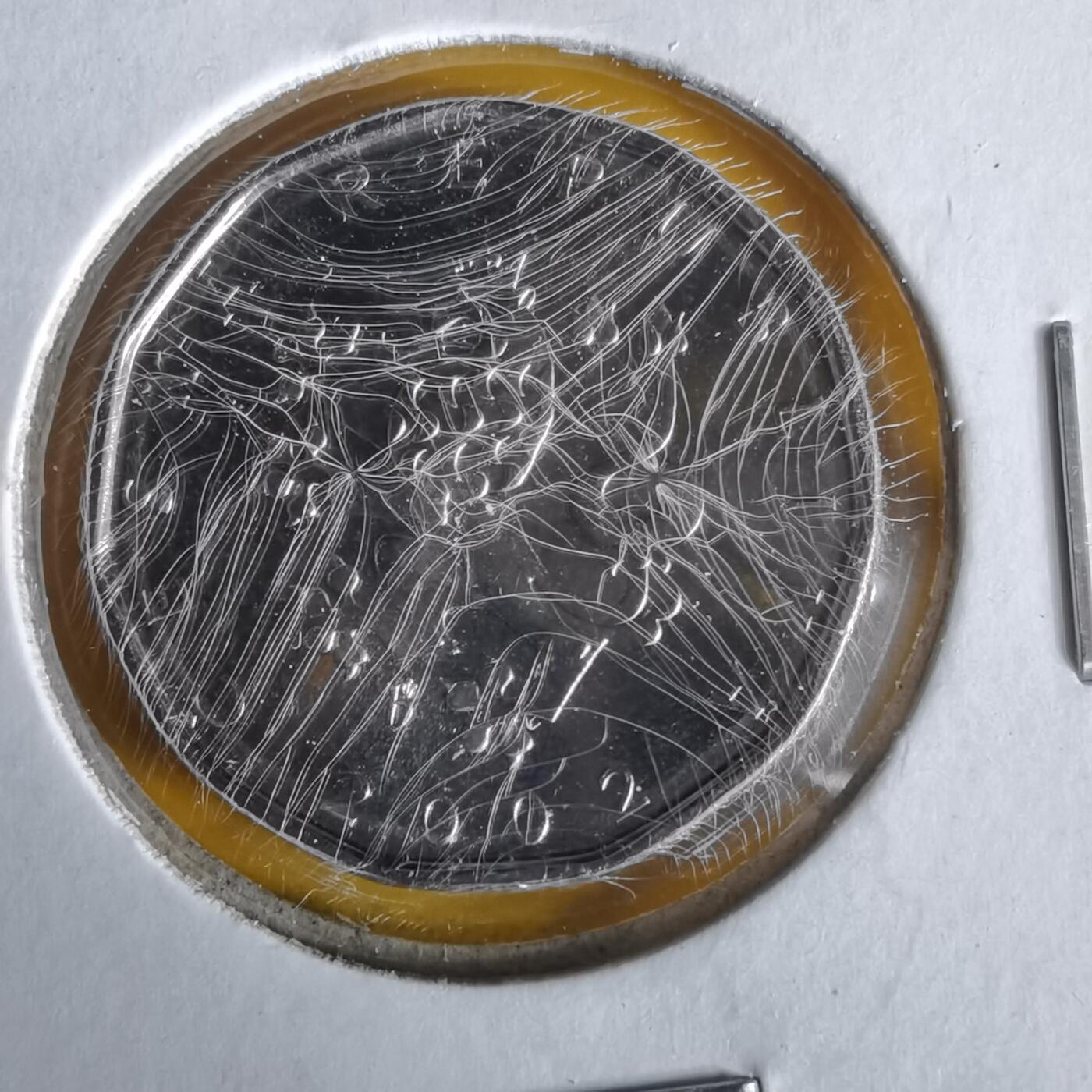 沼泽如烟--第1061场 捷克2002年2克朗