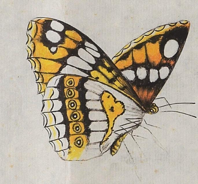 碧月说宝. 近现代书画专场（十） 齐良末 老少年