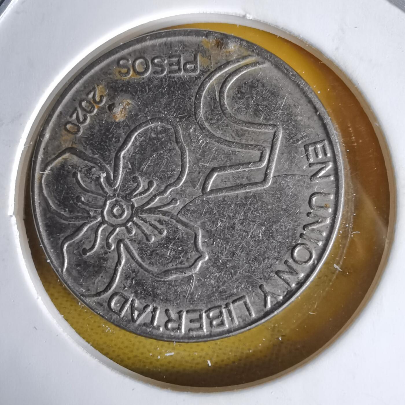 沼泽如烟--第1060场