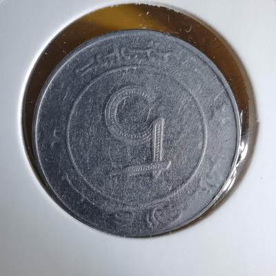 沼泽如烟--第1060场 阿尔及利亚2013年5第纳尔