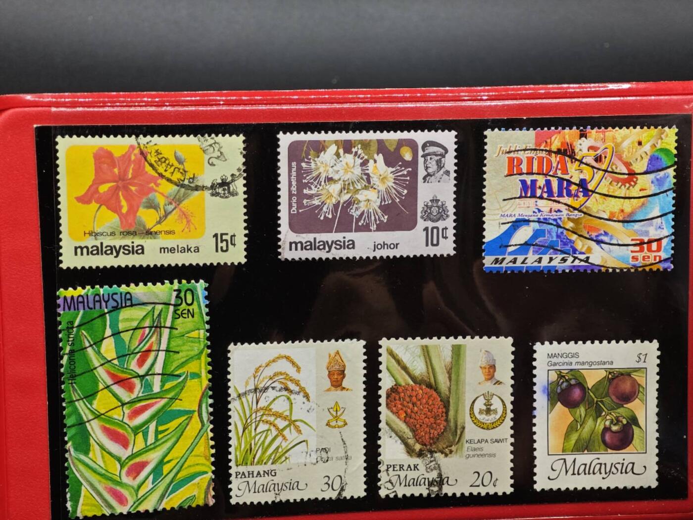 【淘币小摊】实时拍第八百九十三拍   散币场    每周一统一发货 马来西亚旅游币