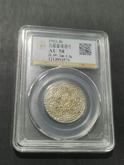 天下钱庄专场欢迎参拍 - 西藏章噶银币