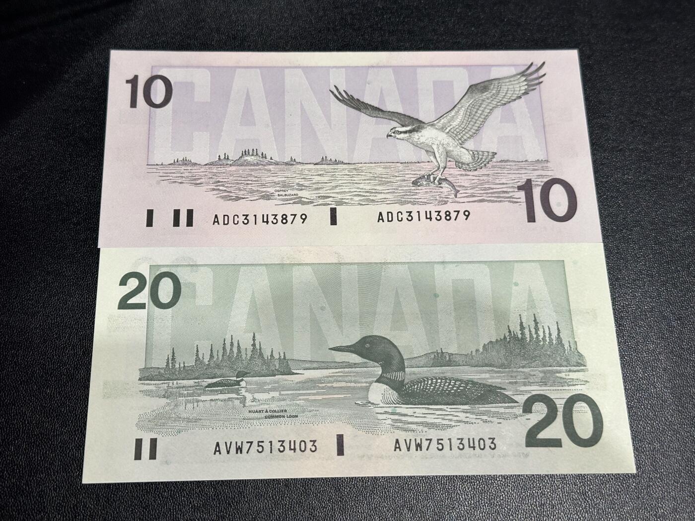 《外钞收藏家》第六百二十八期（精品百拍场）（长期征集拍品、欢迎藏友们联系合作） 加拿大鸟版10和20元 2张一起 全新UNC