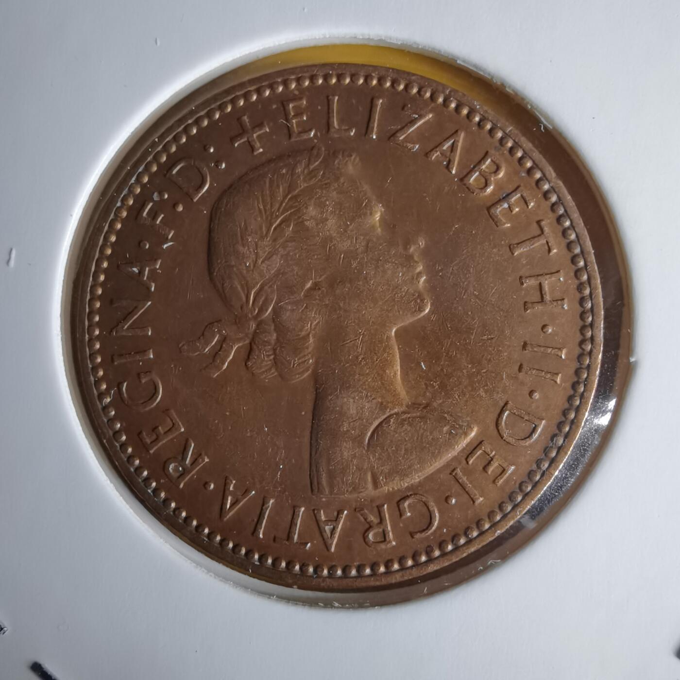 沼泽如烟--第1060场