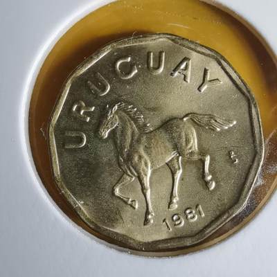 沼泽如烟--第1060场 - 乌拉圭1981年10分