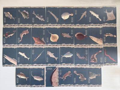 NO.30 好又多金牌大场，每周一站式配齐，方便凑单！（周6晚9点截拍，卖家送拍0抽成！） - 人文之宝 许成成等 海错图 HY海鱼卡 30张