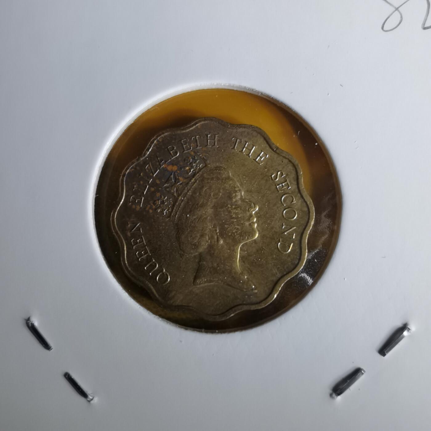 沼泽如烟--第1060场