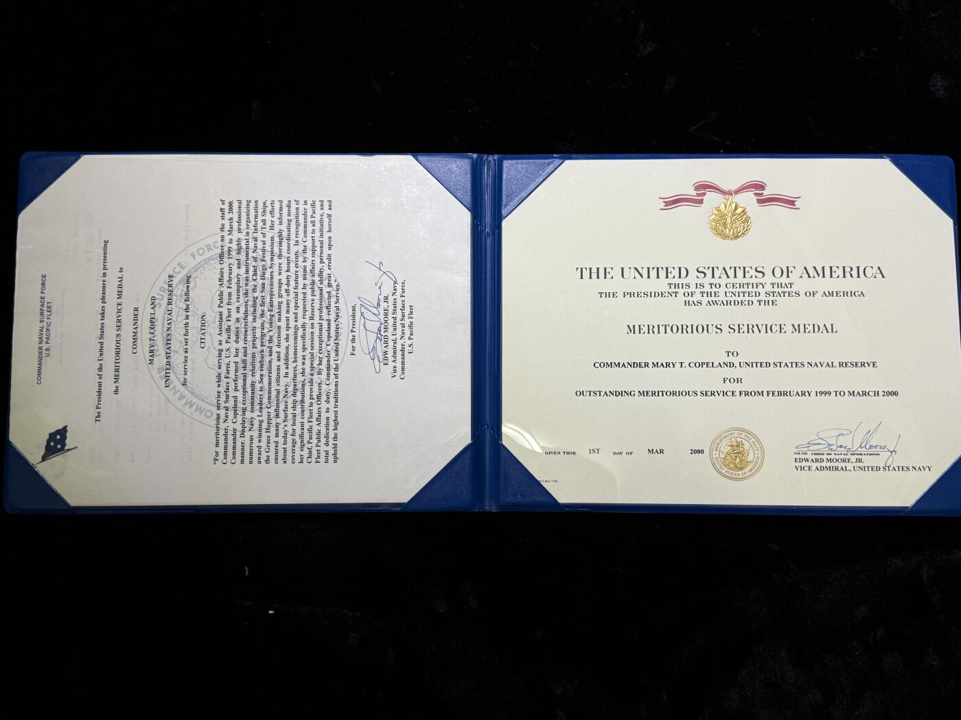 戎马世界章牌大赏第115期