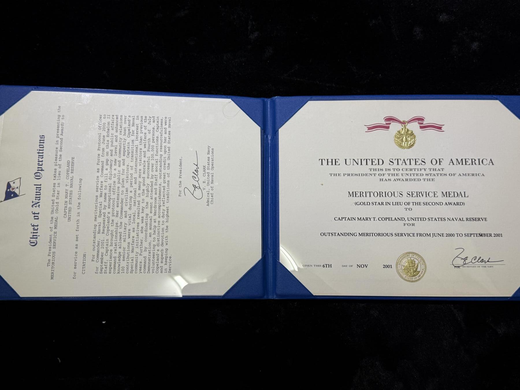 戎马世界章牌大赏第115期