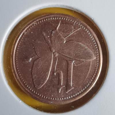 沼泽如烟--第1060场 巴布亚新几内亚2004年2托伊