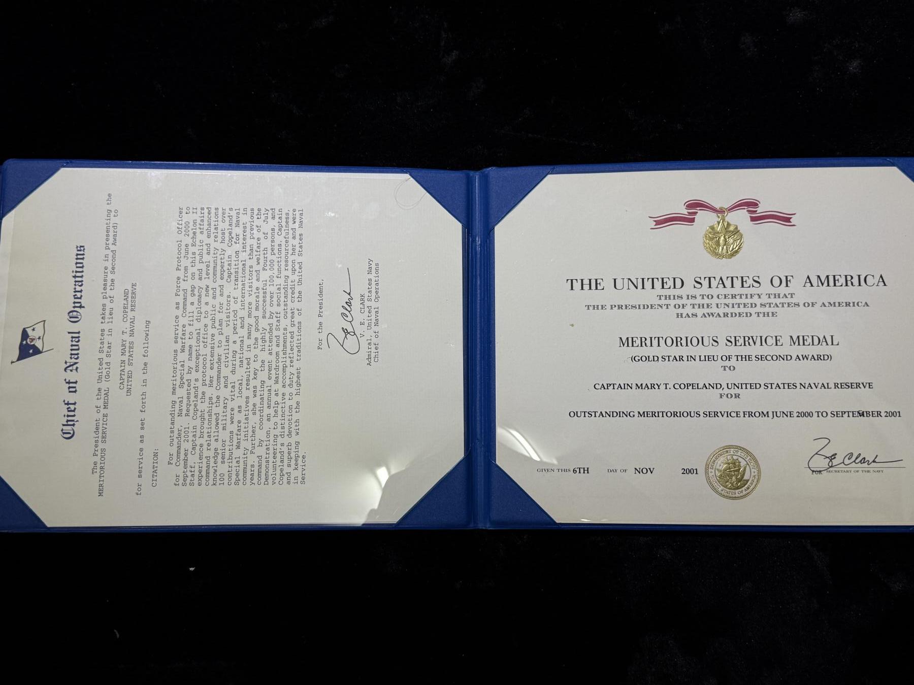 戎马世界章牌大赏第115期