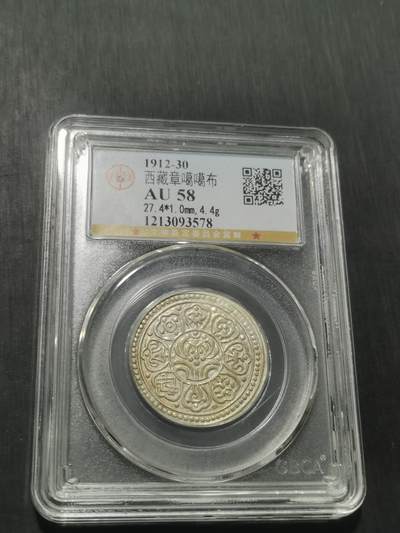 天下钱庄专场欢迎参拍 - 西藏章噶银币