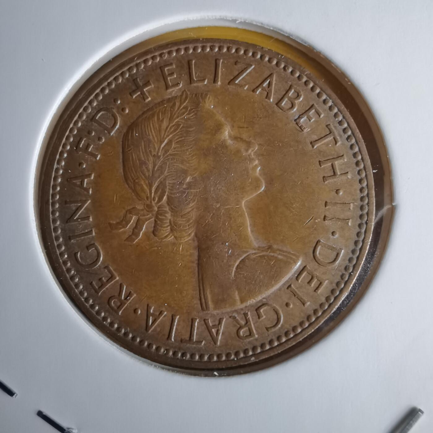 沼泽如烟--第1060场