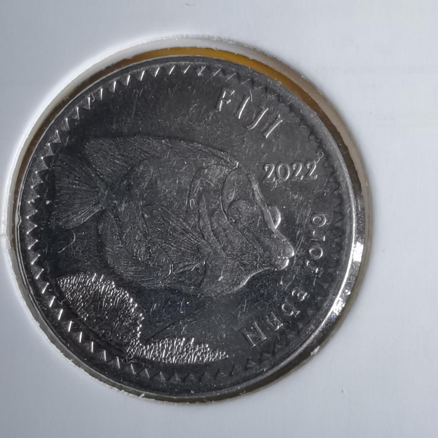 沼泽如烟--第1060场