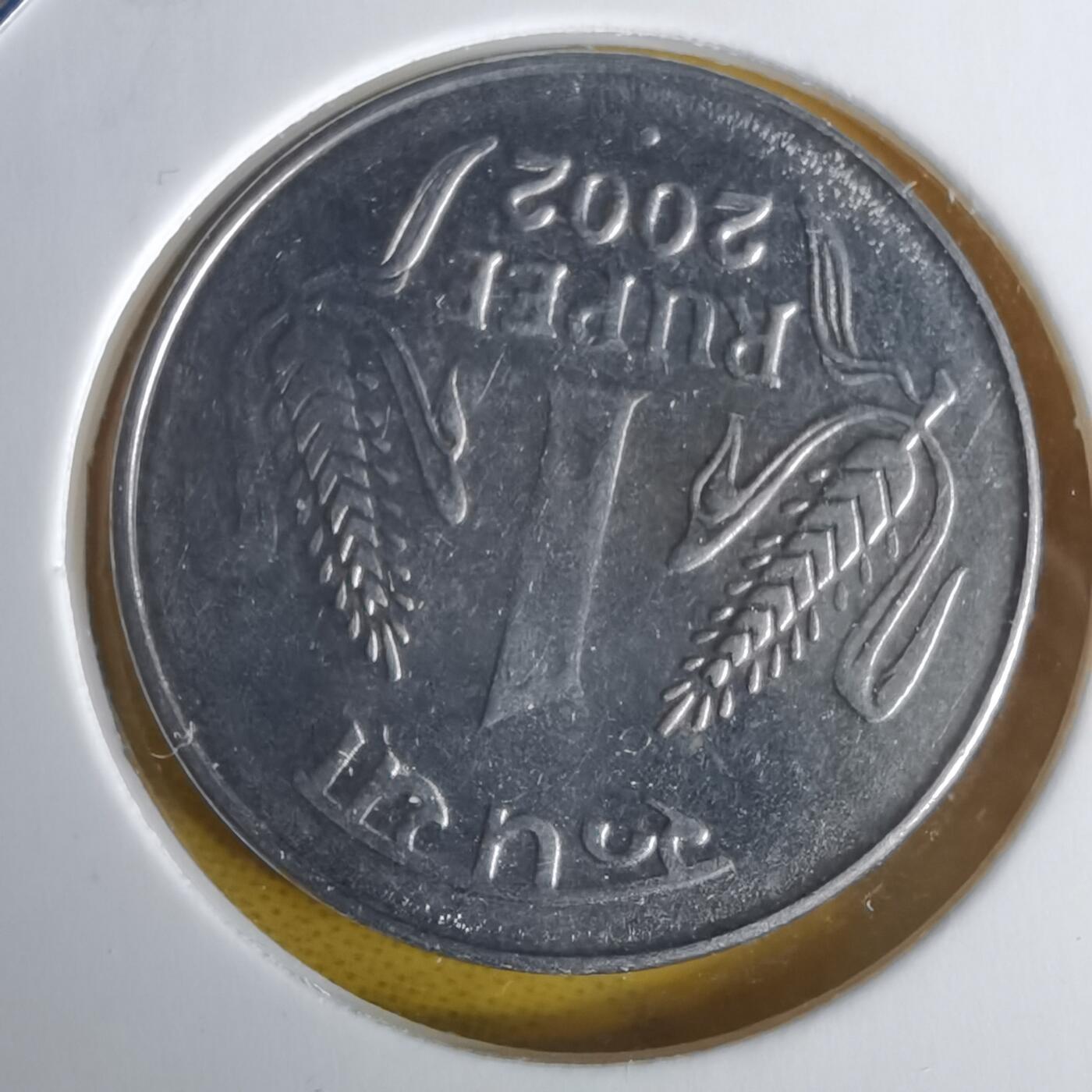 沼泽如烟--第1060场