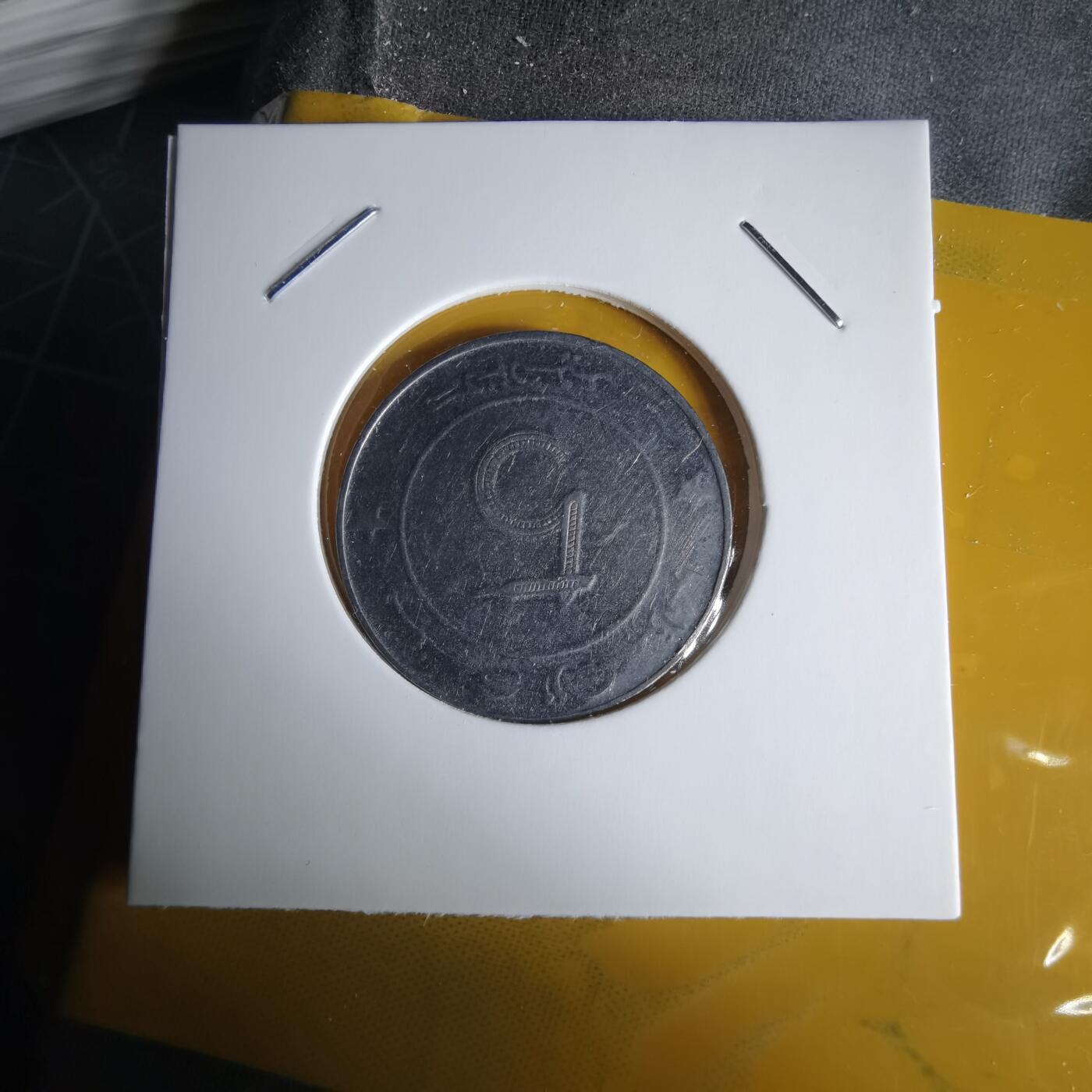 沼泽如烟--第1060场