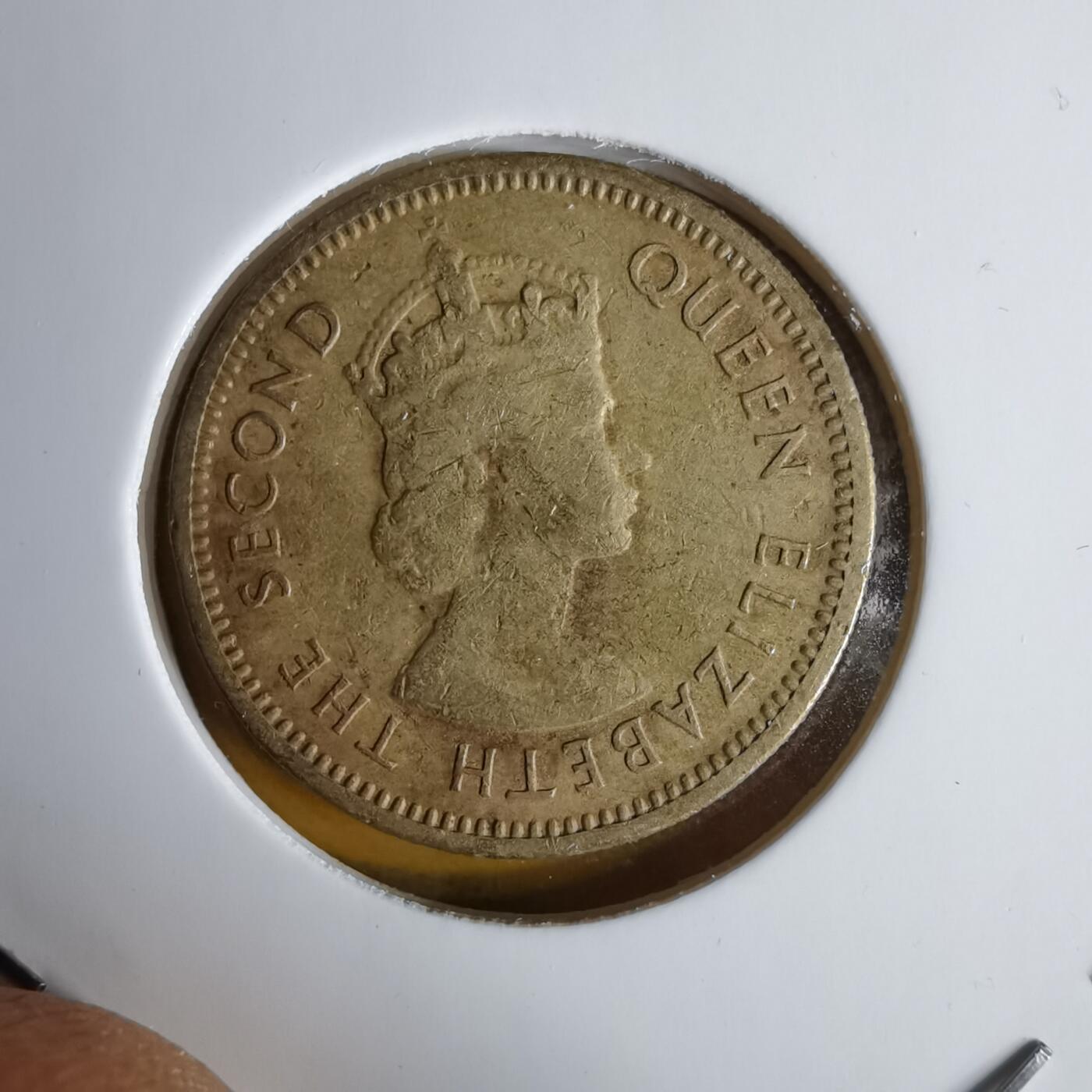 沼泽如烟--第1060场