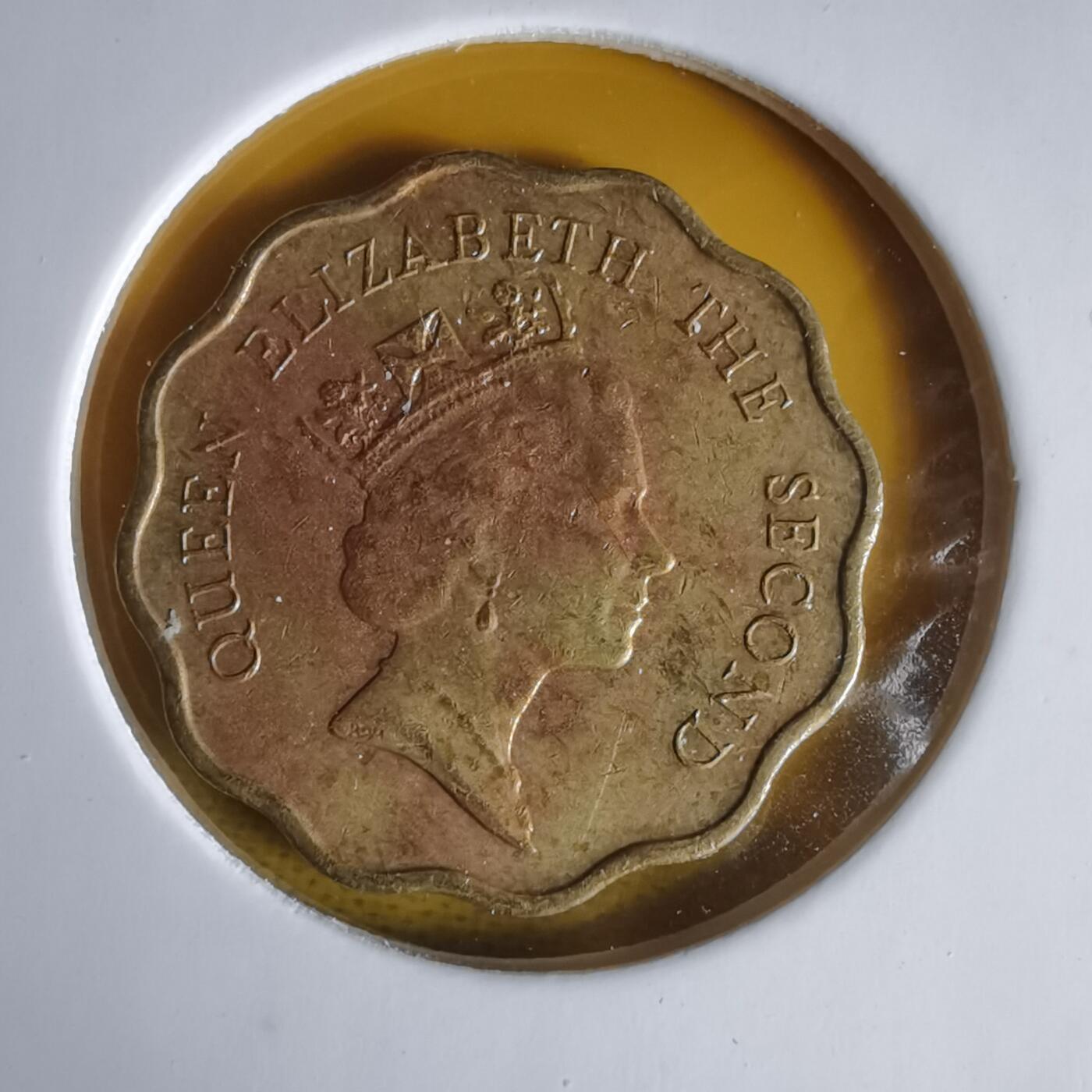 沼泽如烟--第1060场