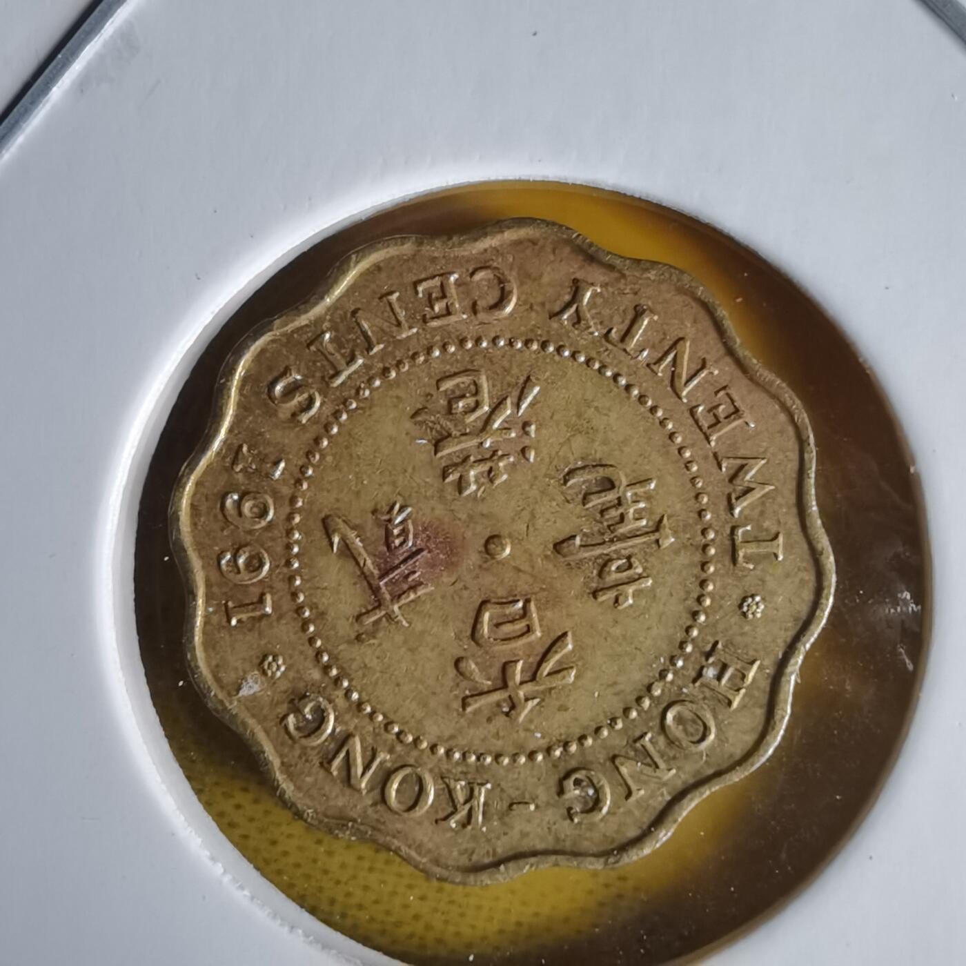 沼泽如烟--第1060场