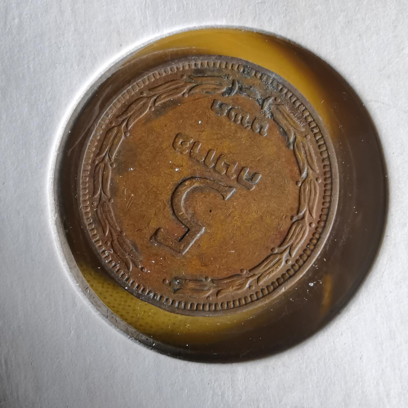 沼泽如烟--第1061场 以色列