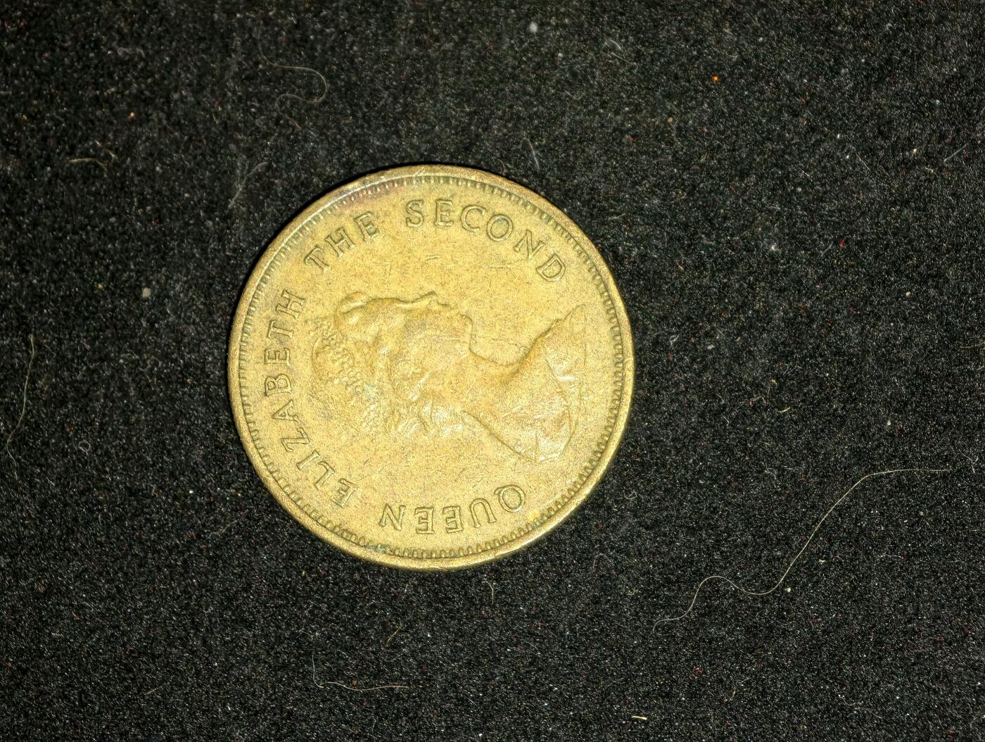 凯旋世界勋赏（第23期）（欢迎送拍）（对拍品有疑问请询问客服，不接受到手刀，出价默认拍品品相。请认真阅读拍卖规则！出价默认已认可！）（收到货请录制开箱视频，无视频概不处理问题。）  。