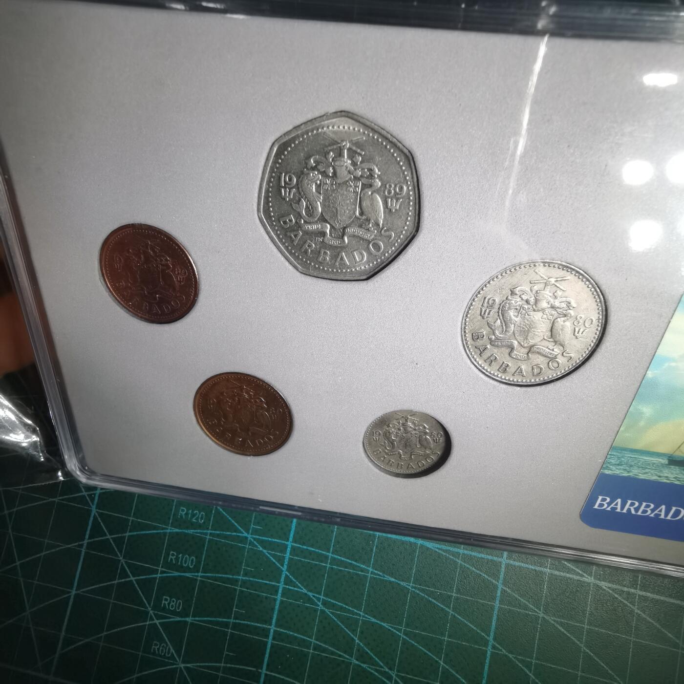 沼泽如烟--第1060场