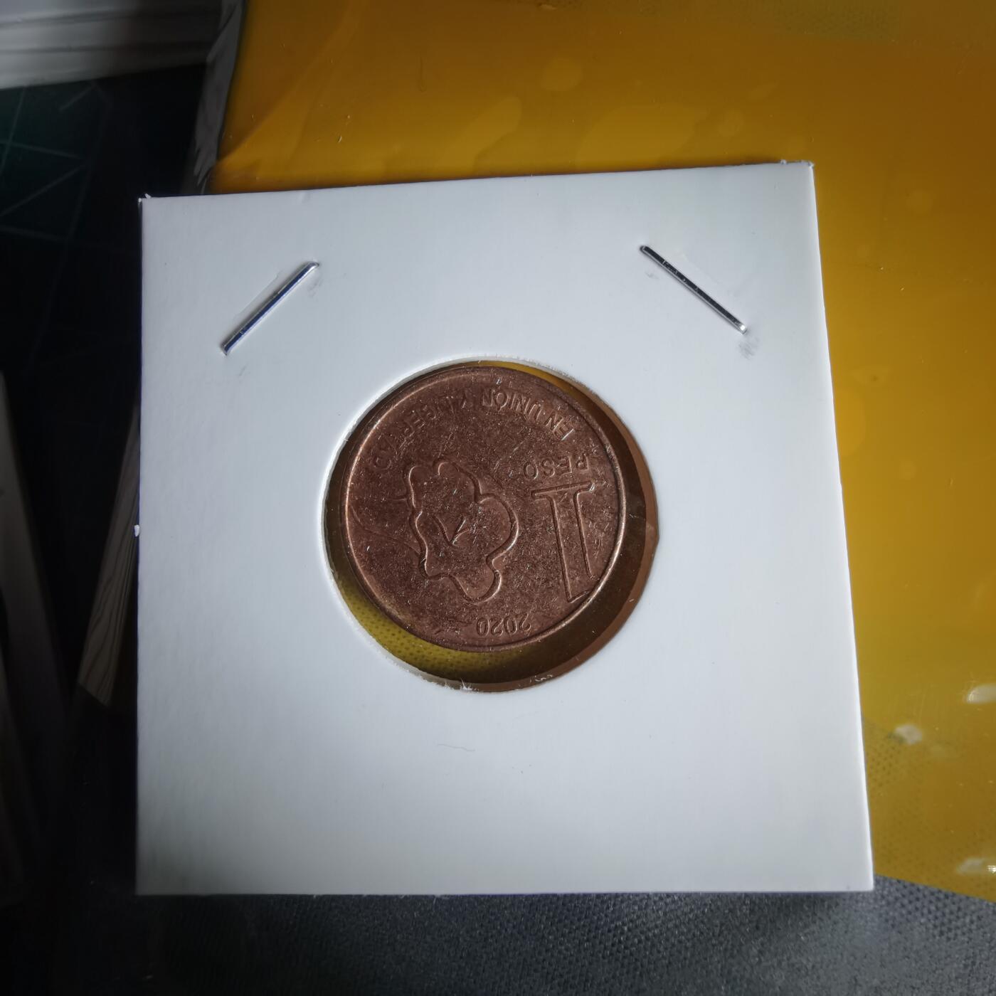 沼泽如烟--第1060场