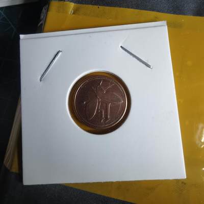 沼泽如烟--第1060场 巴布亚新几内亚2004年2托伊