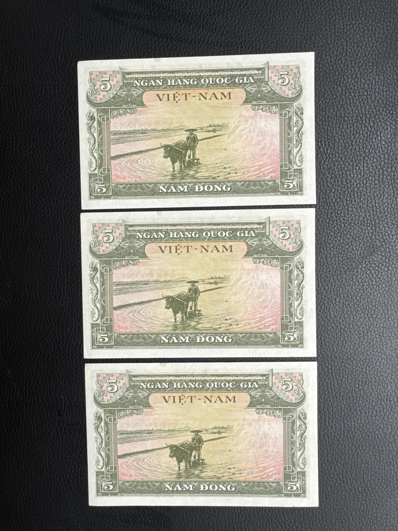 桂P钱币文化工作室拍卖第五十期