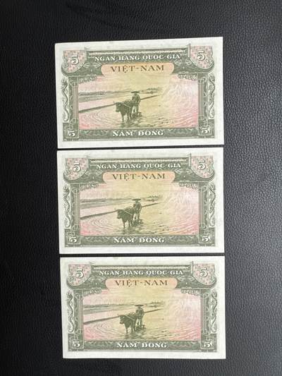 桂P钱币文化工作室拍卖第五十期 南越共和国1955年版5盾，三连号，经典的龙凤图案纸币
