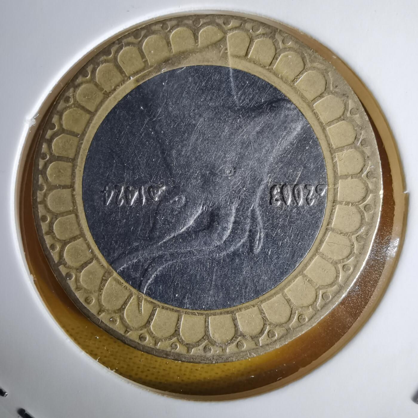 沼泽如烟--第1060场