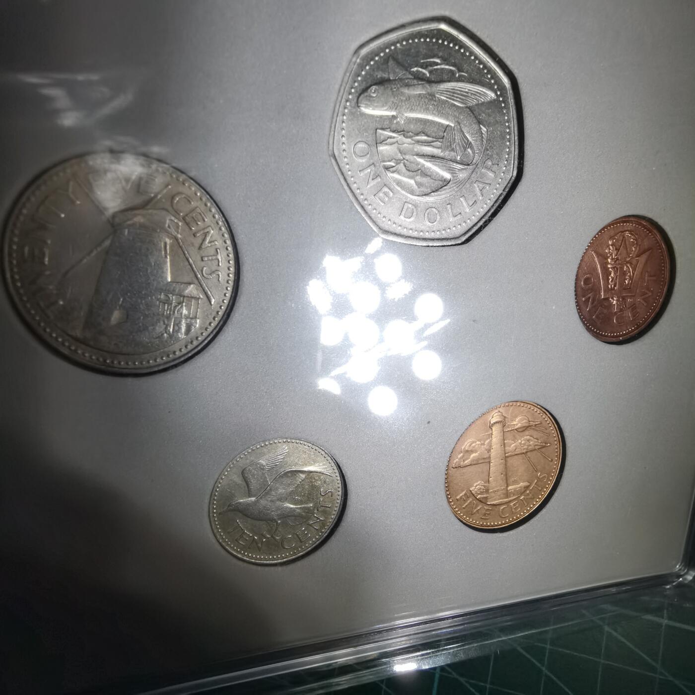 沼泽如烟--第1060场