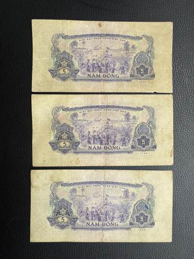 桂P钱币文化工作室拍卖第五十期 中国代印越南民主共和国1966年版5盾一组，流通品相