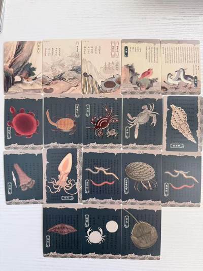 NO.30 好又多金牌大场，每周一站式配齐，方便凑单！（周6晚9点截拍，卖家送拍0抽成！） - 人文之宝 许成成等 海错图 MS海物卡+拼图卡 15+3张