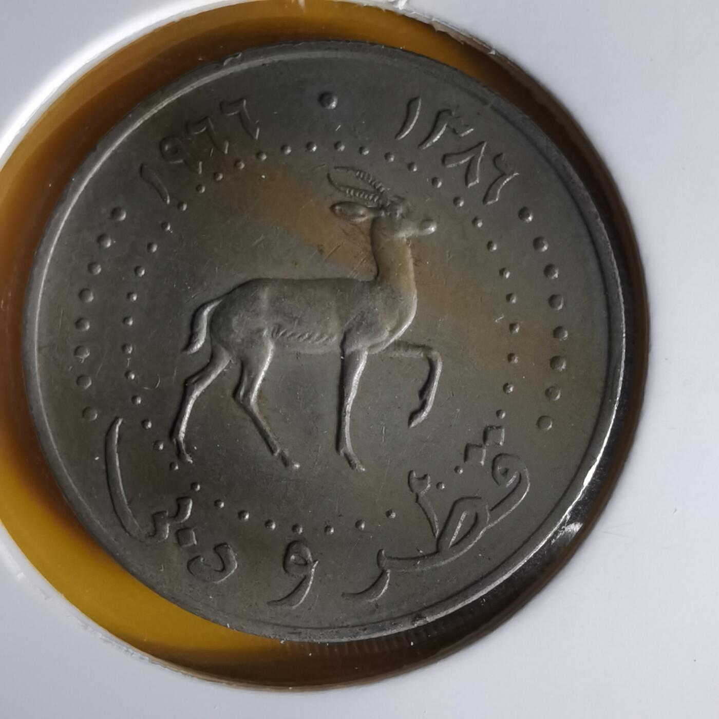 沼泽如烟--第1061场 卡塔尔迪拜1966年50费尔