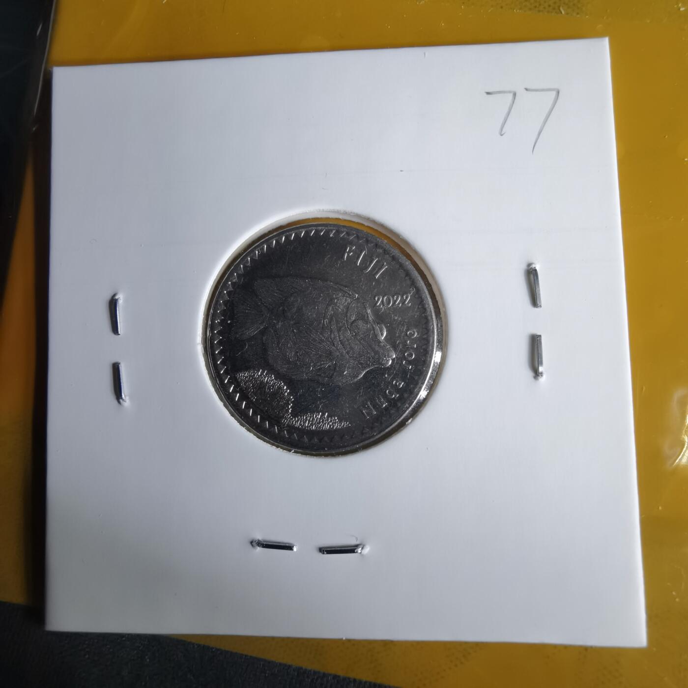 沼泽如烟--第1060场