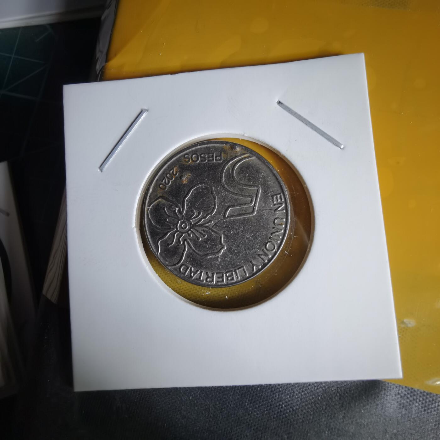 沼泽如烟--第1060场