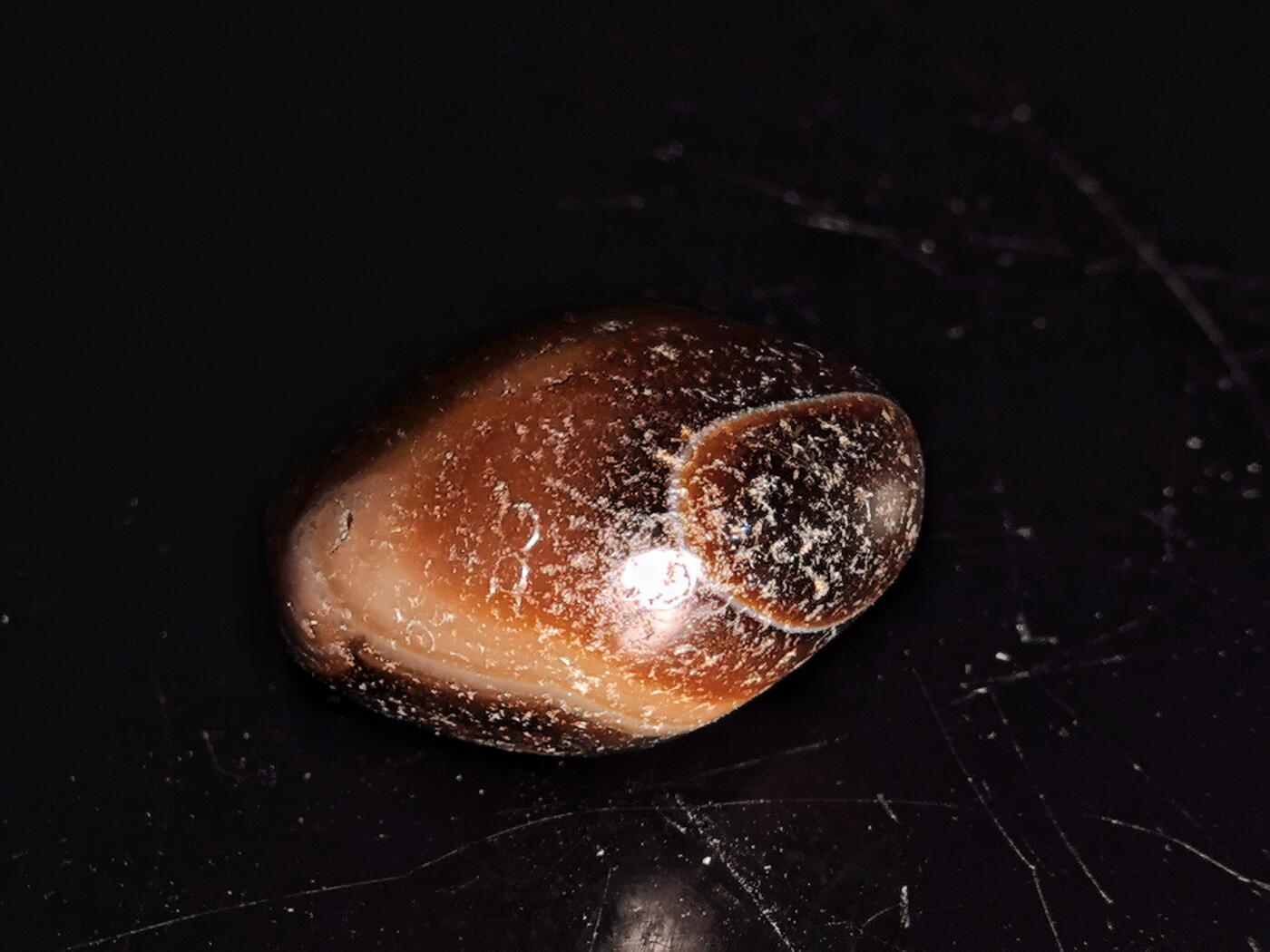 碧月说宝.雪域莲花开（二） 清代 白财神眼缠丝玛瑙珠