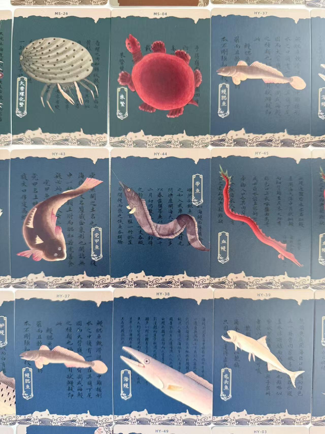 NO.30 好又多金牌大场，每周一站式配齐，方便凑单！（周6晚9点截拍，卖家送拍0抽成！） 人文之宝 许成成等 海错图 海鱼 海物 海怪卡 28+5+3张